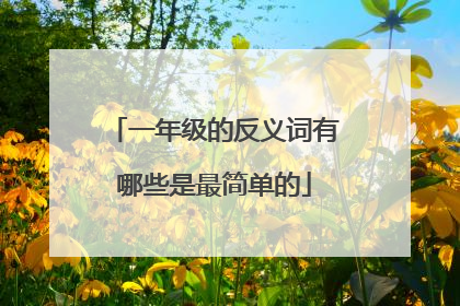 一年级的反义词有哪些是最简单的