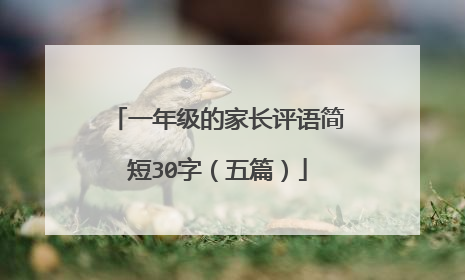 一年级的家长评语简短30字（五篇）