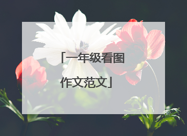 一年级看图作文范文