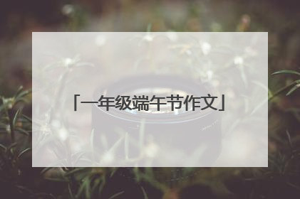 一年级端午节作文