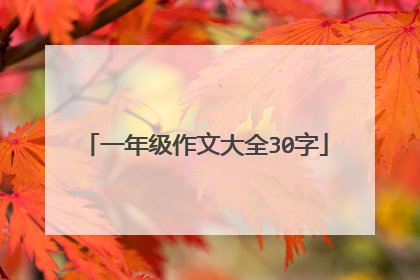 一年级作文大全30字