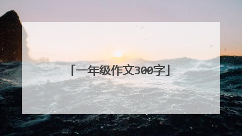 一年级作文300字