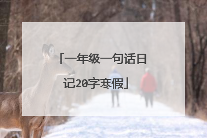 一年级一句话日记20字寒假