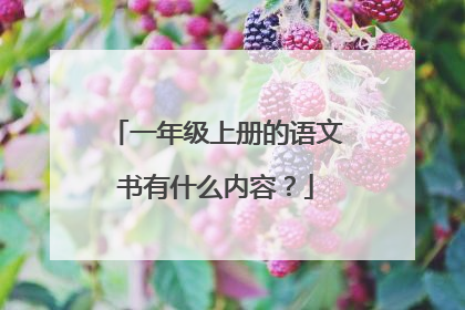 一年级上册的语文书有什么内容?