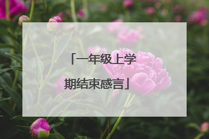 一年级上学期结束感言