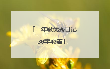 一年级优秀日记30字40篇