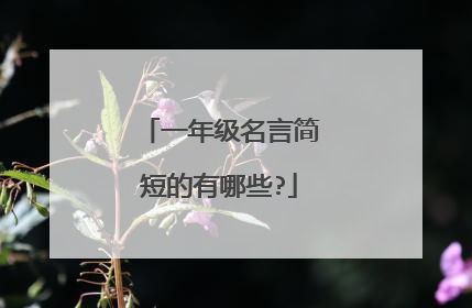一年级名言简短的有哪些?