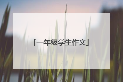 一年级学生作文