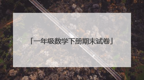 一年级数学下册期末试卷