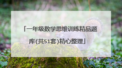 一年级数学思维训练精品题库(共51套)精心整理