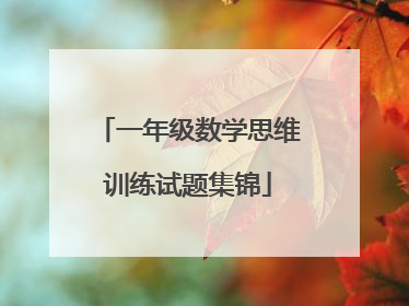 一年级数学思维训练试题集锦