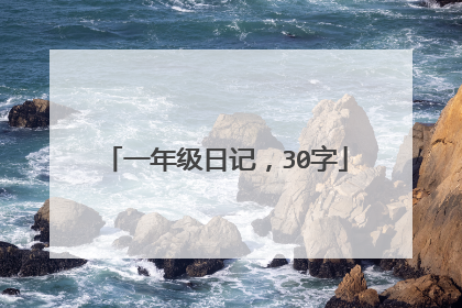 一年级日记,30字