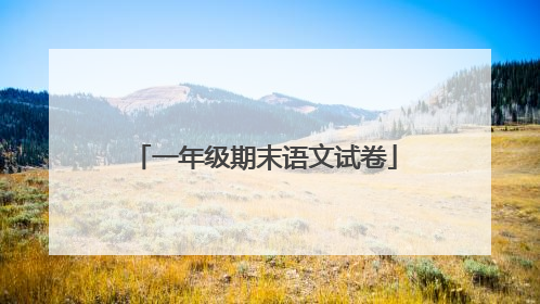 一年级期末语文试卷