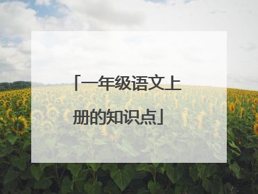 一年级语文上册的知识点