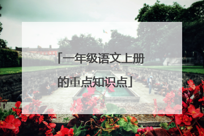 一年级语文上册的重点知识点