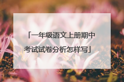 一年级语文上册期中考试试卷分析怎样写