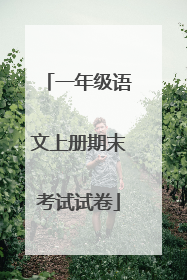 一年级语文上册期末考试试卷