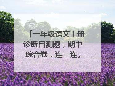 一年级语文上册诊断自测题，期中综合卷，连一连,让花儿和叶子组成一个字。