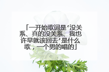 一开始歌词是‘没关系、真的没关系、我也许早就该回去’是什么歌，一个男的唱的