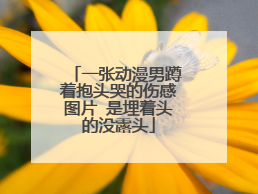 一张动漫男蹲着抱头哭的伤感图片 是埋着头的没露头