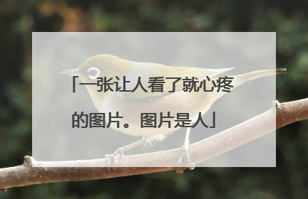 一张让人看了就心疼的图片。图片是人