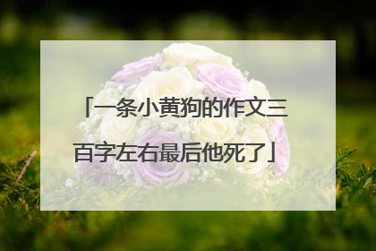 一条小黄狗的作文三百字左右最后他死了