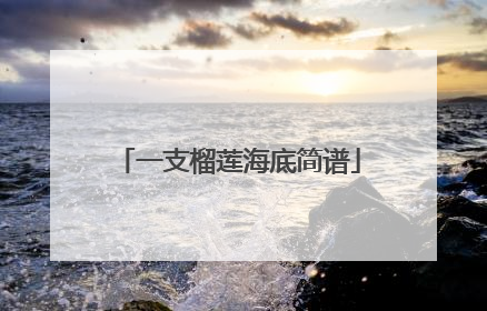 一支榴莲海底简谱