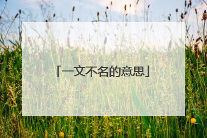 一文不名的意思