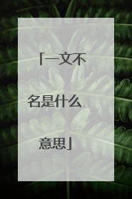 一文不名是什么意思