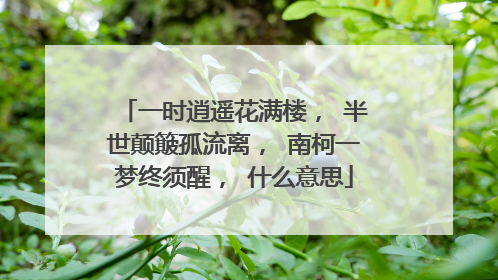 一时逍遥花满楼, 半世颠簸孤流离, 南柯一梦终须醒, 什么意思