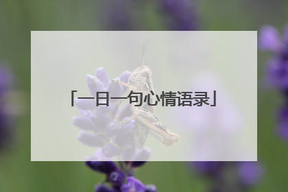 一日一句心情语录