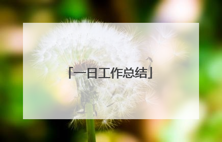 一日工作总结