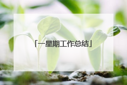 一星期工作总结