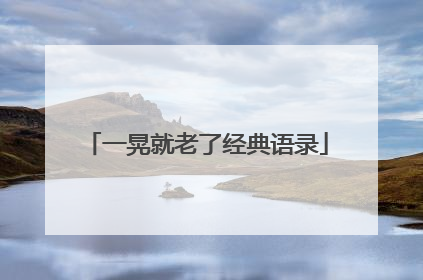 一晃就老了经典语录