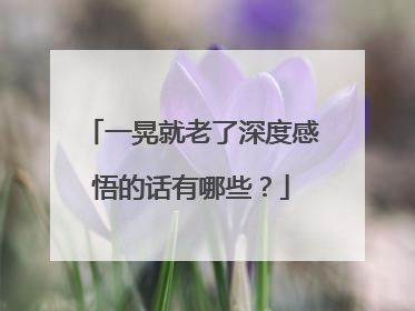 一晃就老了深度感悟的话有哪些？