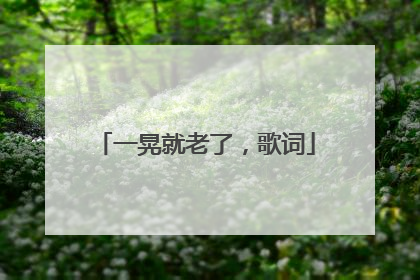 一晃就老了，歌词