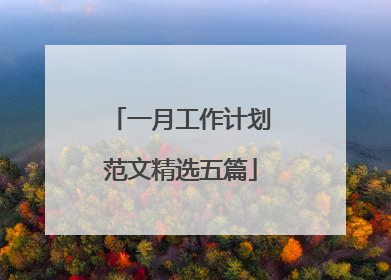 一月工作计划范文精选五篇