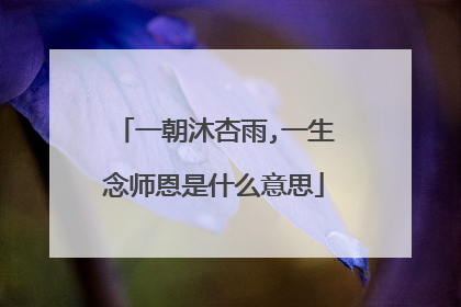一朝沐杏雨,一生念师恩是什么意思