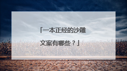 一本正经的沙雕文案有哪些?