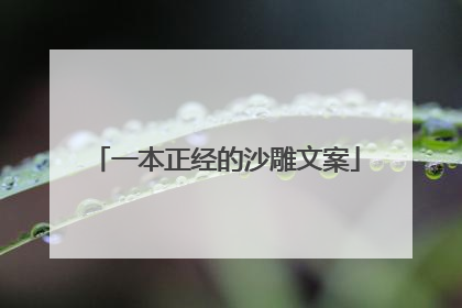 一本正经的沙雕文案