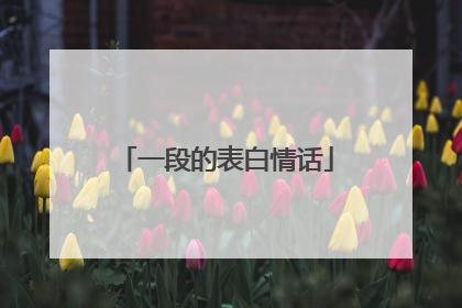 一段的表白情话