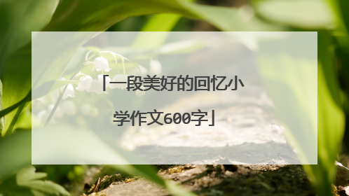 一段美好的回忆小学作文600字