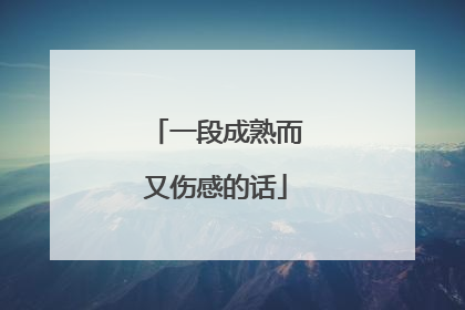 一段成熟而又伤感的话