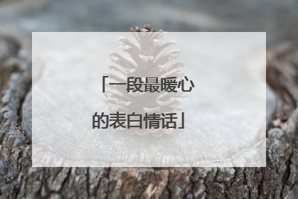 一段最暖心的表白情话