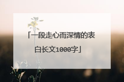 一段走心而深情的表白长文1000字