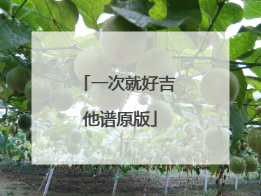 一次就好吉他谱原版