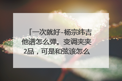一次就好-杨宗纬吉他谱怎么弹。变调夹夹2品，可是和弦该怎么按，节奏又是什么。我是新手求指点。