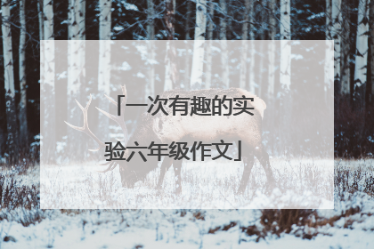 一次有趣的实验六年级作文