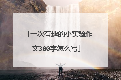 一次有趣的小实验作文300字怎么写
