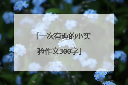 一次有趣的小实验作文300字